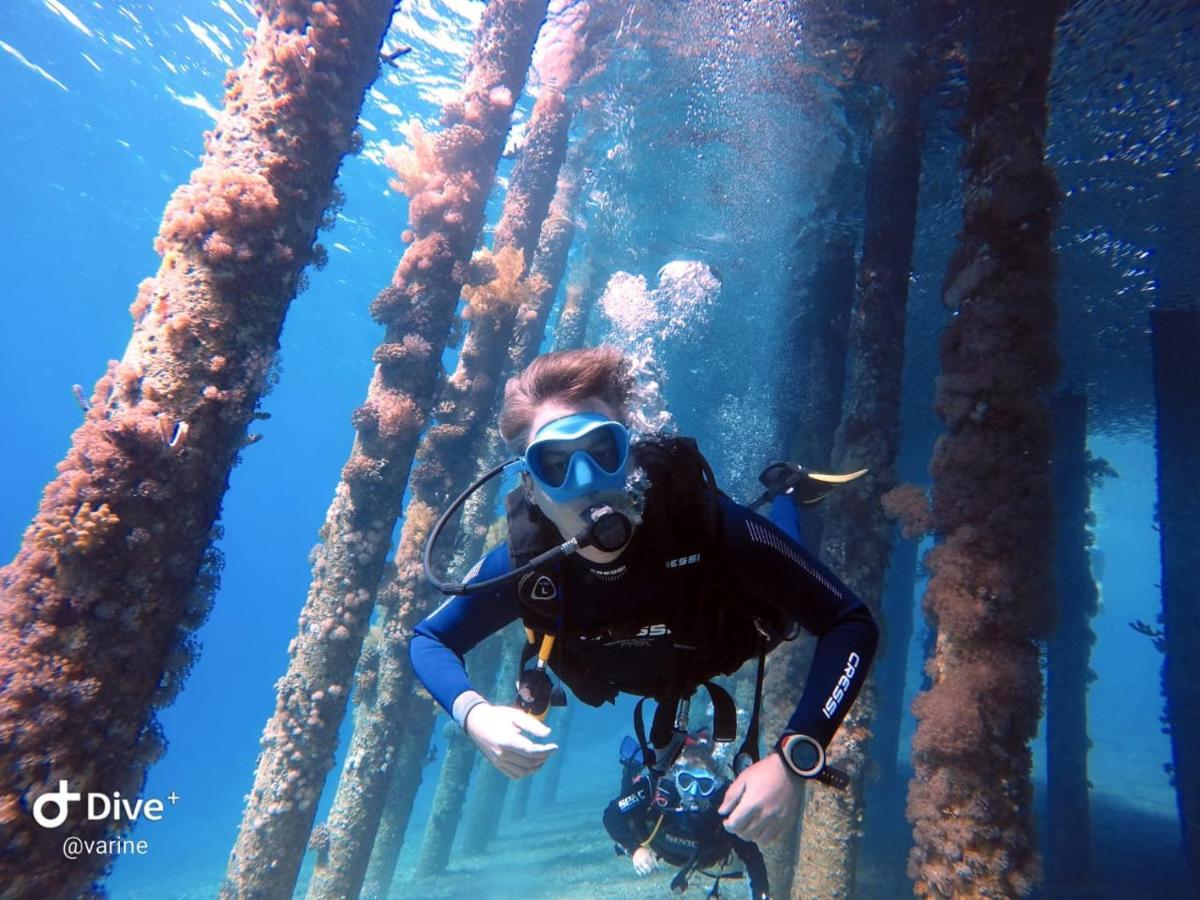 Aqaba Pro Divers ภายนอก รูปภาพ