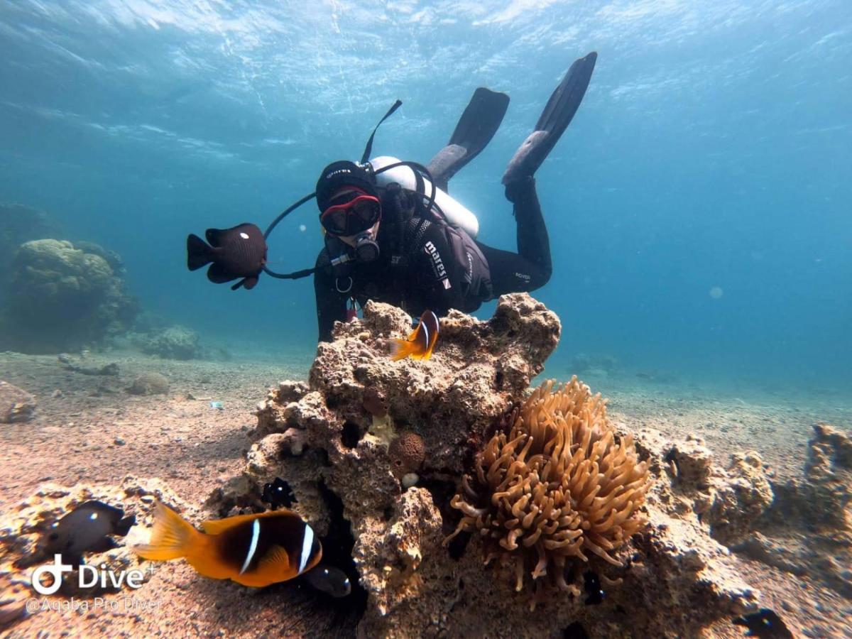 Aqaba Pro Divers ภายนอก รูปภาพ